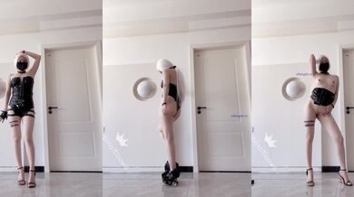 ❣️推荐❣️推特极品嫩妹【冰冰爱跳舞】收费私拍第二弹，各式各样情趣丝袜装裸舞 (13)